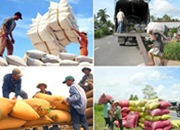 Quá ít doanh nghiệp Việt "quen" với bảo hiểm tín dụng thương mại